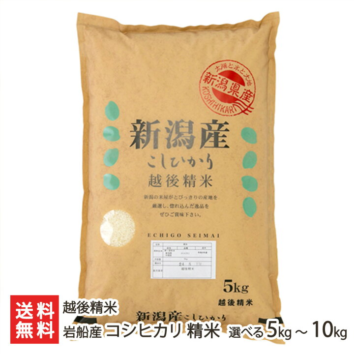 楽天市場】【令和7年度米】岩船産 コシヒカリ 精米 選べる 5kg 10kg 