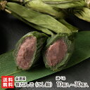 笹だんご こし餡 選べる 10個入り 〜 30個入り 金澤屋 ささだんご ササダンゴ 笹団子 新潟直送計画 スイーツ 金沢屋 小豆 笹団子 和菓子 こしあん 胎内市 新潟産 生産者直送 お取り寄せ ギフト プレゼント 贈り物