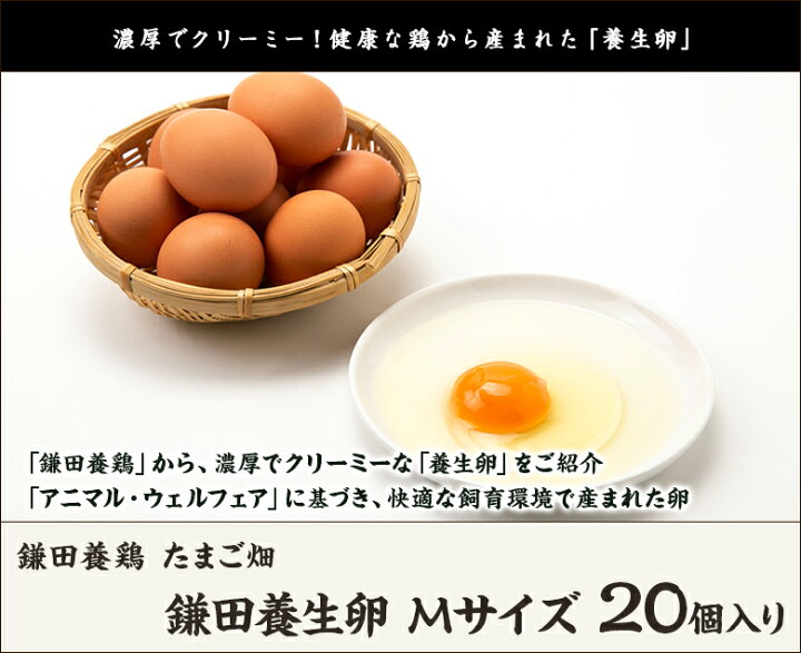 楽天市場】新潟地鶏卵 鎌田養生卵 Mサイズ 20個入 鎌田養鶏 たまご畑 生産者直送 送料無料【たまご タマゴ 新鮮 濃厚卵白 アニマル・ウェルフェア 新潟 刈羽】 : 新潟直送計画 楽天市場店 楽天市場】新潟地鶏卵 鎌田養生卵 Mサイズ 20個入 鎌田養鶏 たまご畑 生産者直送 送料無料【たまご タマゴ 新鮮 濃厚卵白 アニマル・ウェルフェア 新潟 刈羽】 : 新潟直送計画 楽天市場店