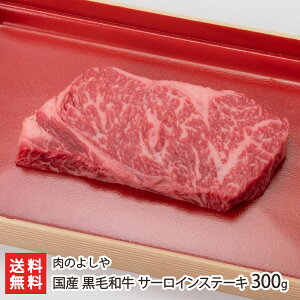 Y јa T[CXe[L 300gi300g×1j ̂悵y/uh/YnzyyY/yYzyz