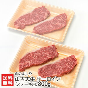 RÎu T[CiXe[Lpj ̂悵y/uh/YnzyyY/yYzyz