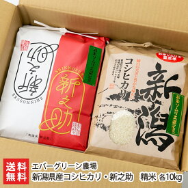 令和6年度新米 新潟県産 コシヒカリ ・ 新之助 精米 選べる 各2kg ～ 各10kg エバーグリーン農場 こしひかり しんのすけ ライス 白米 五泉市 お米ソムリエ 食べ比べ 新潟産 生産者直送 お取り寄せ ギフト プレゼント 贈り物 送料無料 父の日 お中元