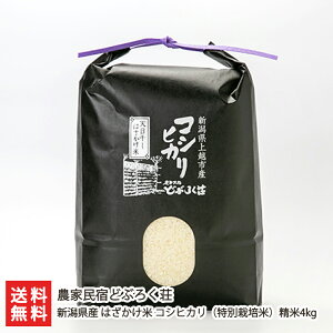 yߘa7NxVāzʍ͔|āi_Ew엿jVY ͂ RVqJ  Iׂ 1.5kg 4kg _ƖhǂԂ낭 Ic Ђ  邿 V YҒ 