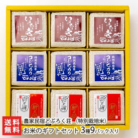 【令和5年度米】お米のギフトセット 特別栽培米 3種9パック入り（コシヒカリ、新之助、いのちの壱 各2p） 農家民宿どぶろく荘 【棚田/こしひかり/白米/うるち米/長期保存/備蓄用/真空パック】【お土産/手土産/ギフトに！贈り物】【送料無料】 父の日 お中元