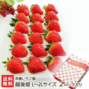 Vuh zP L`2LTCY 2pbNi1pbN18jē  C`S Xgx[ t[c VY V YҒ  Mtg v[g 