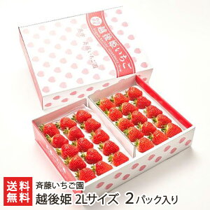 Vuh zP 2LTCY 2pbNi1pbN15jē  C`S Xgx[ t[c VY V YҒ  Mtg v[g 蕨 