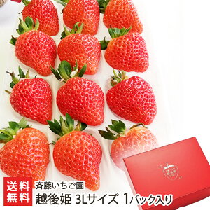 Vuh zP 3LTCY 1pbNi1pbN12jē  C`S Xgx[ t[c VY V YҒ  Mtg v[g 蕨 