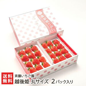 Vuh zP 3LTCY 2pbNi1pbN12jē  C`S Xgx[ t[c VY V YҒ  Mtg v[g 蕨 