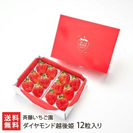 新潟ブランドいちご ダイヤモンド越後姫 12粒入り 斉藤いちご園 いちご イチゴ ストロベリー フルーツ 新潟産 新潟県 生産者直送 お取り寄せ ギフト プレゼント 贈り物 送料無料 お歳暮
