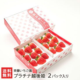 新潟ブランドいちご プラチナ越後姫 2パック入り（1パックあたり9粒）斉藤いちご園 いちご イチゴ ストロベリー フルーツ 新潟産 新潟県 生産者直送 お取り寄せ ギフト プレゼント 贈り物 送料無料 お歳暮