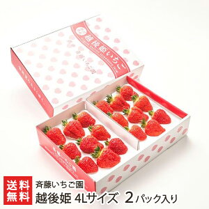 Vuh v`izP 2pbNi1pbN9jē  C`S Xgx[ t[c VY V YҒ  Mtg v[g 蕨 