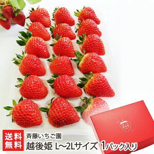 Vuh zP L`2LTCY 1pbNi1pbN18jē  C`S Xgx[ t[c VY V YҒ  Mtg v[g 