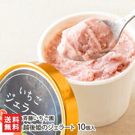 越後姫のジェラート 10個入り 斉藤いちご園 産地直送【いちご/イチゴ/ストロベリー/フルーツ/アイス/氷菓/新潟産】【お土産/手土産/ギフトに！贈り物】【送料無料】