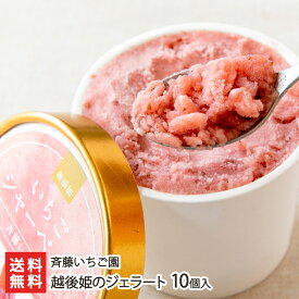 越後姫のシャーベット 10個入り 斉藤いちご園 産地直送【いちご/イチゴ/ストロベリー/フルーツ/アイス/氷菓/新潟産】【お土産/手土産/ギフトに！贈り物】【送料無料】