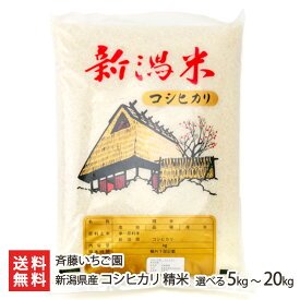 【令和7年度米】新潟県産コシヒカリ 精米 5kg 10kg 20kg 斉藤いちご園 こしひかり ライス お米 白米 ごはん 新潟産 新潟県 生産者直送 お取り寄せ ギフト プレゼント 贈り物 送料無料