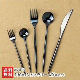SUGATA カトラリー 全5本セット（スプーン大、フォーク大、スプーン小、フォーク小、ナイフ各1本入り） ※カラーをお選びください：White(白)・Black(黒)・Silver(銀) AS IT IS 燕市 ステンレス 新潟県 生産者直送 お取り寄せ ギフト プレゼント 贈り物 送料無料