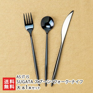 SUGATA Xv[EtH[NEiCt  e1{Zbg J[IтFWhite()EBlack()ESilver() AS IT IS s O Ȋw XeX Vv mg[ V YҒ 