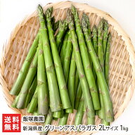 新潟県産 グリーンアスパラガス 2Lサイズ（極太）1kg 飯塚農園 アスパラ 採れたて 新鮮 ジューシー 三条…