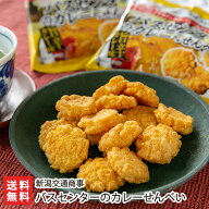 バスセンターのカレーせんべい「2パック入り」or「4パック入り」新潟交通商事 【代金引換決済不可】【新…