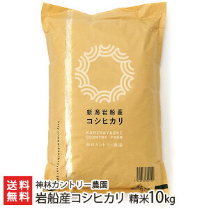 yߘa7NxVāz DY RVqJ  5kg ` 10kg _уJg[_ CX   邿 VY V YҒ  Mtg v[g 蕨