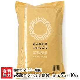 【令和7年度新米】 岩船産 コシヒカリ 精米 5kg 10kg 神林カントリー農園 ライス 白米 お米 うるち米 新潟県産 新潟県 生産者直送 お取り寄せ ギフト プレゼント 贈り物