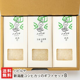 【令和5年度米】新潟産コシヒカリのギフトセットB（白米×2パック、7分づき×1パック）ハピルヤ【代金引換決済不可】 【こしひかり/上越市柿崎/うるち米/食べ比べ/詰め合わせ】【お土産/手土産/ギフトに！贈り物】【送料無料】