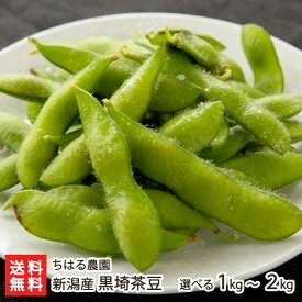 新潟産 黒埼茶豆 1kg or 2kg ちはる農園 新潟県産 くろさき茶豆 茶まめ チャマメ ちゃまめ 枝豆 えだまめ エダマメ 朝採れ 新鮮 おつまみ おやつ 生産者直送 お取り寄せ ギフト プレゼント 贈り物