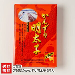ẑ񂸂薾q 2i1300gj z y߂񂽂///͂̂/񂹁zyyY/yY/MtgɁI蕨zyz