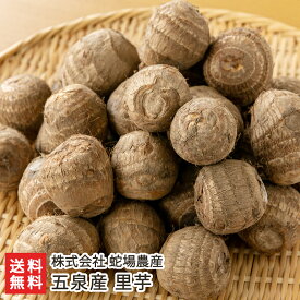 五泉産 里芋「3kg」or「5kg」 株式会社 蛇場農産【代金引換決済不可】 【じゃばのうさん/里いも/さといも/サトイモ/大和早生】【お土産/手土産/プレゼント/ギフトに！贈り物】【送料無料】 お歳暮