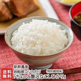 令和6年度産米 岩船産コシヒカリ「ちょっと贅沢なこしひかり」特別栽培米（減農薬・減化学肥料）精米 新耕農産【うるち米/新潟県産/こしひかり/村上市】【お土産/手土産/プレゼント/ギフトに！贈り物】【送料無料】 お歳暮