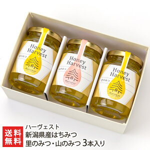 VY݂͂ ݂̂ER݂̂ 3{î݂×2{ER݂̂×1{j n[FXgyVR/M/n`~c/SԖ/YnzyyY/yYzyz