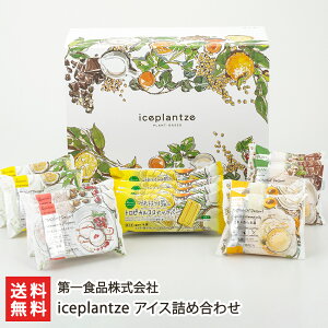 iceplantze ACXlߍ킹i䂸AA[h~NYx[AǐmA`RibcAgsJRRibco[jŒ 啟 Hi V YҒ