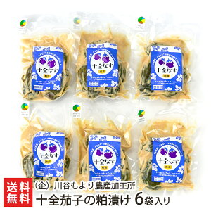 \S֎q̔Ђ ijJ_YH Е iX VY ` zsg ǔ𑢁v̎  V YҒ  Mtg v[g 蕨