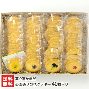 ʂ̉ԃNbL[u12voru20voru30voru40v ِS܂yϕszymَq/ĉَq/RVqJĕ///zyyY/yY/