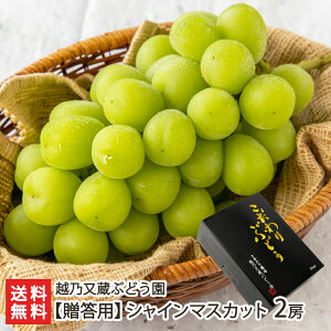 ypzVC}XJbg Iׂ 1[ or 2[ zTԂǂ _Y ʕ Ԃǂ VY V YҒ  Mtg v[g 蕨 