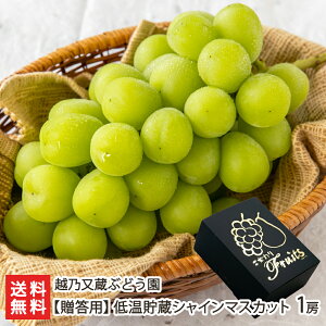 ypzቷ VC}XJbg 1[ zTԂǂ _Y ʕ Ԃǂ VY V YҒ  Mtg v[g 蕨 