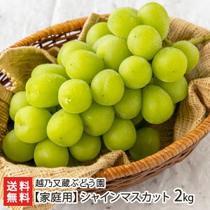 yƒpzVC}XJbg 2kg zTԂǂ _Y ʕ Ԃǂ VY V YҒ  Mtg v[g 蕨 
