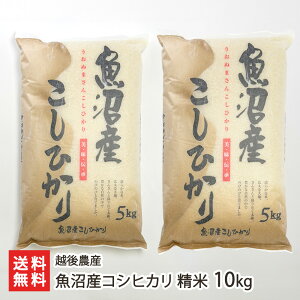 yߘa7NxVāz YRVqJ  5kg ` 10kg z_Y Ђ CX  邿  MZ  V YҒ  Mtg v[g 蕨