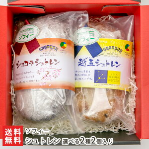 Vg Iׂ 22 2ނIт \tB[ hCc Vg[ NX}X Xmas ibc L[ XC[c َq mَq V YҒ  Mtg v