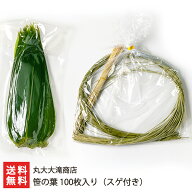 笹の葉 100枚入り（スゲ付き） 丸大大滝商店 【新潟直送計画/ささ/ササ/笹団子/ちまき/ちらし寿司/バラン…