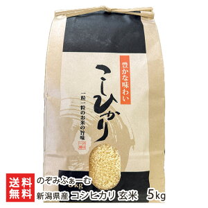 �y�ߘa7�N�x�āz�V�����Y �R�V�q�J�� ���� 3kg 5kg 10kg �̂��݂ӂ��[�� �����Ђ���� �R�� ���͂� ���C�X �V���Y �V�����Y ���Y�Ғ��� ������ �M�t�g �v���[���g ���蕨 ����������ϕs�� 