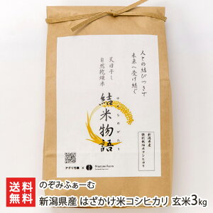 yߘa7NxVāzVY ͂ăRVqJ 3kgi3kg×1܁j ݂̂ӂ[ Ђ z nU| VY VY YҒ  Mtg v[g 蕨 