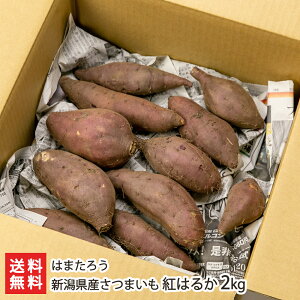 VY܂ g͂邩 2kg ͂܂낤 Ă Ĉ َq ܈ Tc}C F s rln V YҒ  Mtg v[g 蕨 