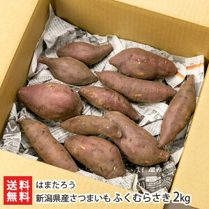 VY܂ ӂނ炳 2kg ͂܂낤 Ă Ĉ َq ܈ Tc}C F s rln V YҒ  Mtg v[g 蕨 