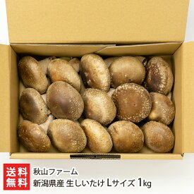 新潟県産 生しいたけ Lサイズ 1kg 秋山ファーム【代金引換決済不可】【椎茸/シイタケ/きのこ/キノコ】【お土産/手土産】【送料無料】 父の日 お中元