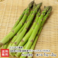 【訳あり】新潟県産 グリーンアスパラガス サイズ混合 選べる 1kg 〜 2kg とよぞう農園 アスパラ 燕市 朝…
