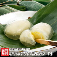 水まんじゅう「笹カスタード」 酒楽の里あさひ山【和菓子/お茶請け/涼感/和風/お取り寄せ】【お土産/手土…