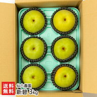 新碧 3kg 仙六農園【梨/なし/しんみどり/新潟県のオリジナル品種/ジューシー】【お土産/手土産/ギフトに…