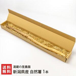 VY R 1{i700g`j ̗_y˂񂶂/R/R̈/R/}mC/Ƃzyz