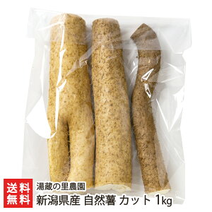 VY R Jbg 1kgi3`5Jbgj ̗_y˂񂶂/R/R̈/R/}mC/Ƃzyz Ε